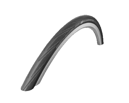Schwalbe Lugano band